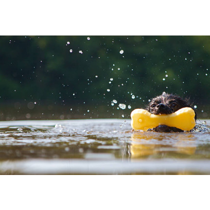 TG56080 BONE Chew mit Quietschwürfel HUNDSPIELZEUG