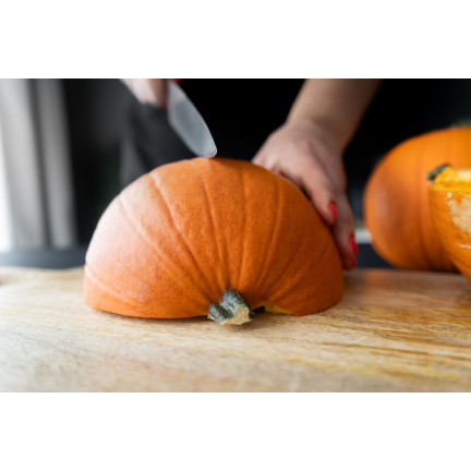 W1038 GOLIAS KÜRBIS CUCURBITA MAXIMA SAMEN KÜRBISFRUCHT BIS ZU 30KG 4G
