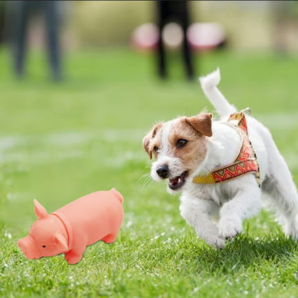 TG56072 HUNDESPIELZEUG SCHWEIN KAUEN QUIETSCHER SCHWEIN
