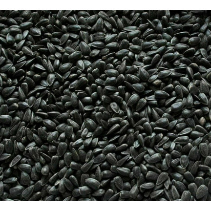 TUR5 Schwarz Sonnenblumenkerne Futtermischung für Vögel im Winter 1 kg