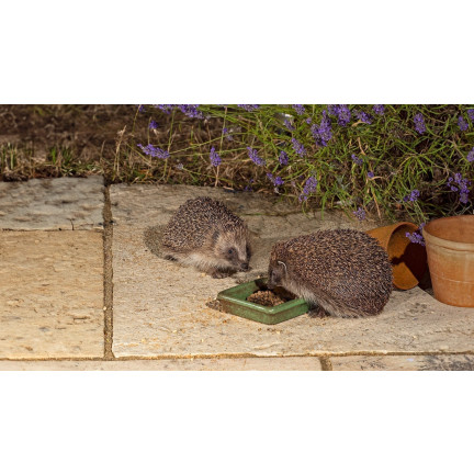 Futter für freilebende Igel, Alleinfuttermittel, proteinreich, Turdus 500 g