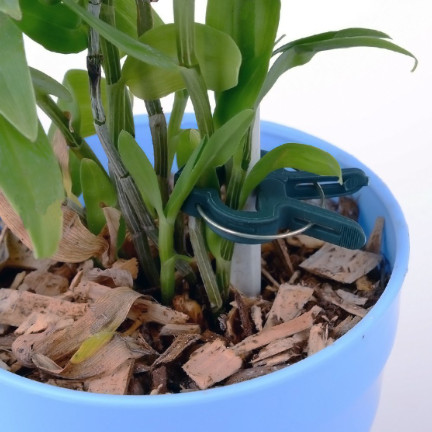 TG67386 PFLANZENBEFESTIGUNGSKLAMMERN GARTENKLAMMERN 50PCS/KPL