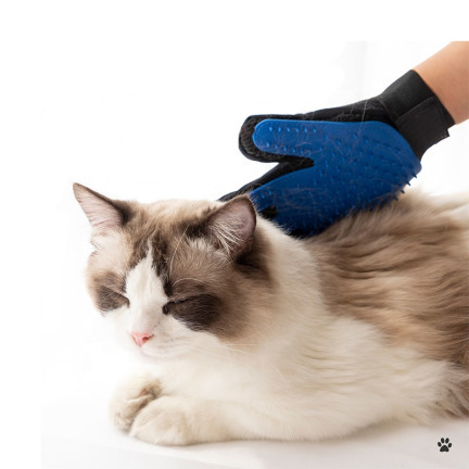 2366 HANDSCHUH ZUM KÄMMEN HUNDESALONMASSAGE