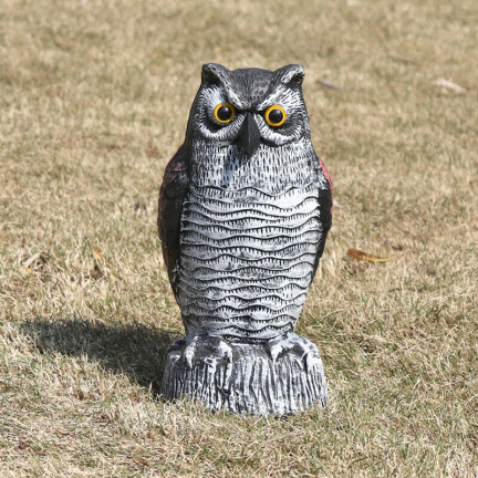 TG66894 VERSCHIEDENE VERSCHIEDENE UMFASSUNGSFIGUR für den Gartenvogel DRAGED MAKIETA