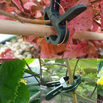 TG67386 PFLANZENBEFESTIGUNGSKLAMMERN GARTENKLAMMERN 50PCS/KPL