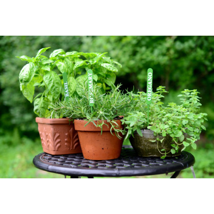 BIO30 biovita Erde, BIO-Erde für Kräuter, naturbelassen, 10 l