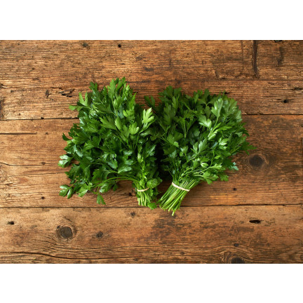 W3754 PETERSILIE GIGANTE D'ITALIA 2G SAMEN HOCHERGIEBIG AROMATISCH