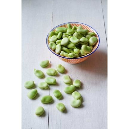 W1006 SEEDS WINDSOR WHITE BROAD BEAN MEDIUM EARLY VERY PROLIFIC 50G