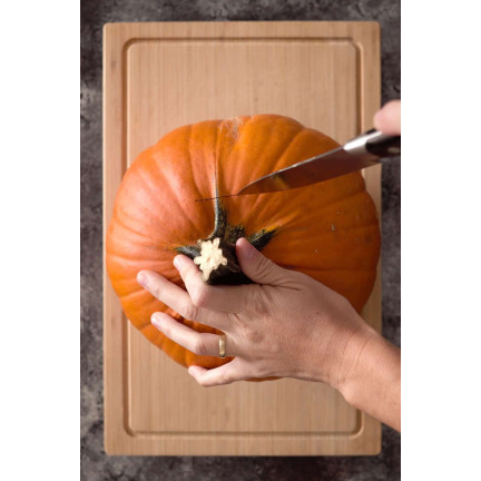 W1038 GOLIAS KÜRBIS CUCURBITA MAXIMA SAMEN KÜRBISFRUCHT BIS ZU 30KG 4G