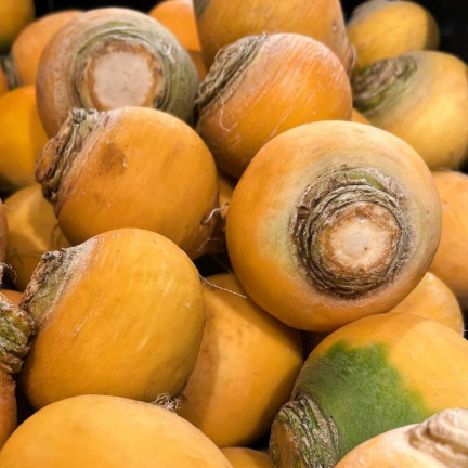Speiserübe „Goudball“, Rübensamen, gelb, süßliches Fruchtfleisch, Toraf, 10 g