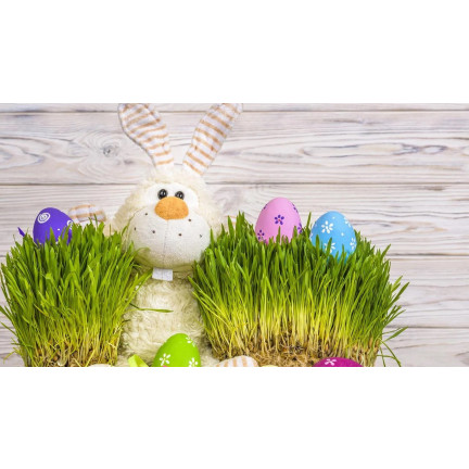 R3365 HAFERFLOCKEN DEKORATION OSTERTISCH DEKORATION 30G