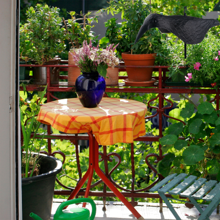 Rabe auf einem Stock, Vogelverschrecker, realistisch, für Balkon und Garten, Tauben und Stare