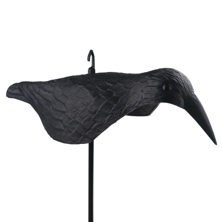 Rabe auf einem Stock, Vogelverschrecker, realistisch, für Balkon und Garten, Tauben und Stare