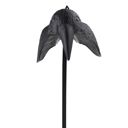 Rabe auf einem Stock, Vogelverschrecker, realistisch, für Balkon und Garten, Tauben und Stare