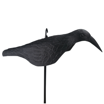 Rabe auf einem Stock, Vogelverschrecker, realistisch, für Balkon und Garten, Tauben und Stare