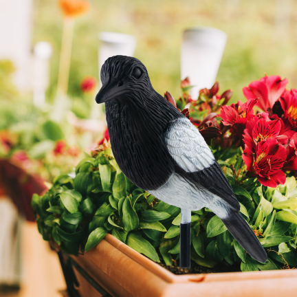 IM035 Elster – Vogelabwehr, Dekoration für Balkon, Terrasse und Garten 