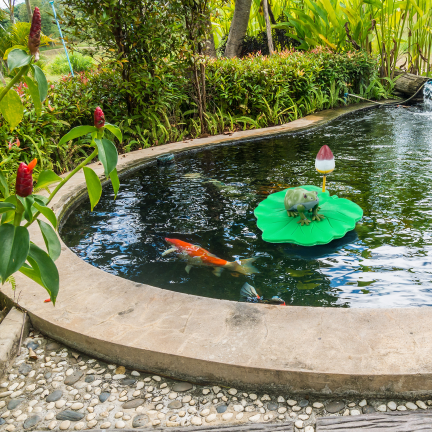 IM037 – Dekorativer Frosch aus Kunststoff auf einem Tulpenblatt für den Teich
