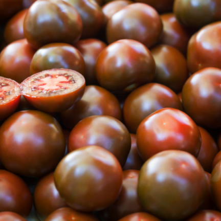 W9558 SCHWARZE KIRSCHTOMATEN HOCHGEMAHLEN 0,3G SAMEN TOMATEN