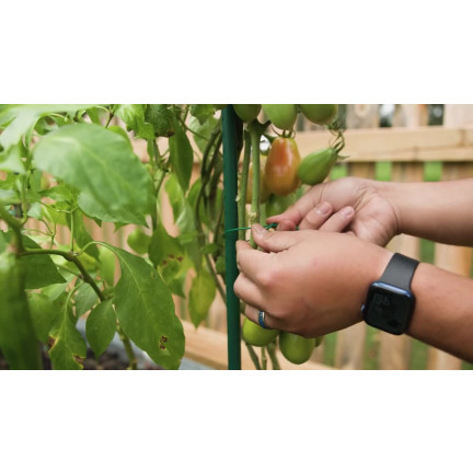 TG77623 Gartenbaudraht, Obstbaumschulseil 50m, Strumpfband
