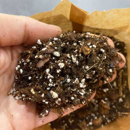 BIO26 EARTH BIGOS 8L Lichtsubstrat für Zimmerpflanzen im Topf