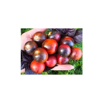 Wasserlöslicher Dünger für Tomaten, 250 g, „Moc obfitości“