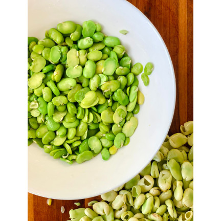 W1006 SEEDS WINDSOR WHITE BROAD BEAN MEDIUM EARLY VERY PROLIFIC 50G