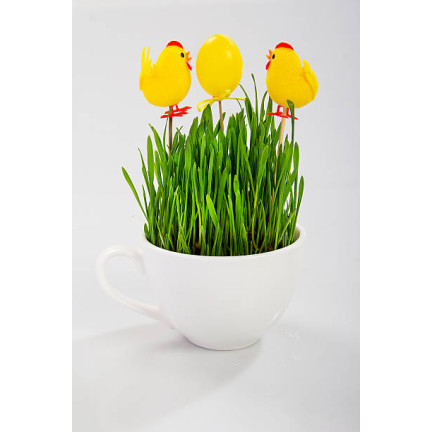 R3365 HAFERFLOCKEN DEKORATION OSTERTISCH DEKORATION 30G