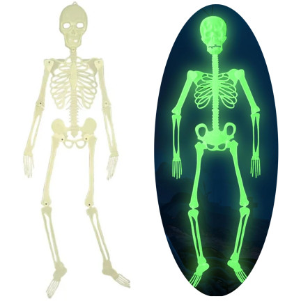 TG73003 HALLOWEEN SKELETT FLUO