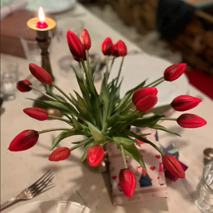 CV07588-10 EINZELN GUMMIERTE TULPE ROT WIE LIVE