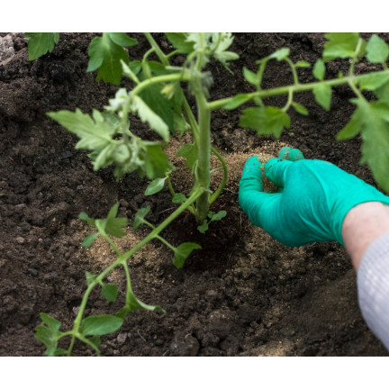 Organischer Dünger für Tomaten, BIO-Granulat, natürlich, Biovita 3 kg