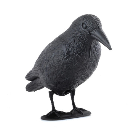 AP8 GROSSE KRÄHE VOGEL ABSCHRECKUNG TAUBEN STARE