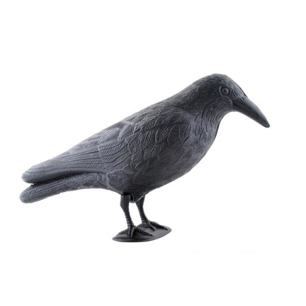 AP8 GROSSE KRÄHE VOGEL ABSCHRECKUNG TAUBEN STARE