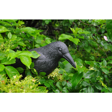 TG60297 GROSSE KRÄHE VOGEL ABSCHRECKUNG TAUBEN STARE