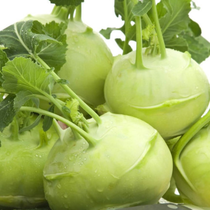 W1075 RIESENKOHLRABI SAMEN WEISSES SCHMACKHAFTES FRUCHTFLEISCH KEINE HOLZIGKEIT VERARBEITUNG VIEL FRUCHTFLEISCH1G