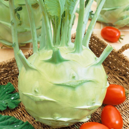 W1075 RIESENKOHLRABI SAMEN WEISSES SCHMACKHAFTES FRUCHTFLEISCH KEINE HOLZIGKEIT VERARBEITUNG VIEL FRUCHTFLEISCH1G