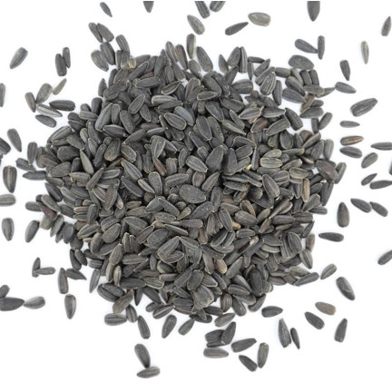 TUR5 Schwarz Sonnenblumenkerne Futtermischung für Vögel im Winter 1 kg