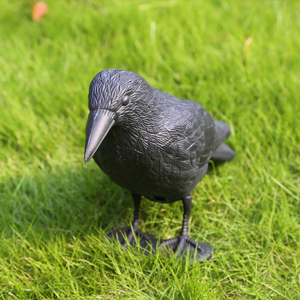 TG60297 GROSSE KRÄHE VOGEL ABSCHRECKUNG TAUBEN STARE