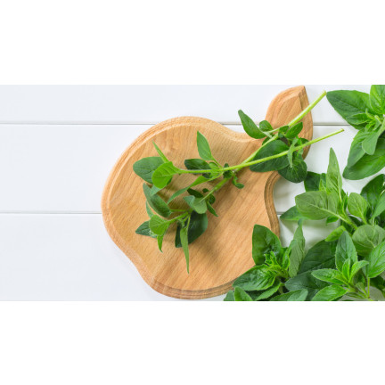 Z3026 OREGANO OREGANO KRÄUTERSAMEN AROMATISCHES KRAUT FÜR JEDE KÜCHE 0.5G