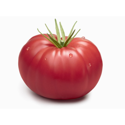 W1160 HIMBEERE GEMAHLENE TOMATENSAMEN FÜR SAUCEN KONSERVEN 0,5G