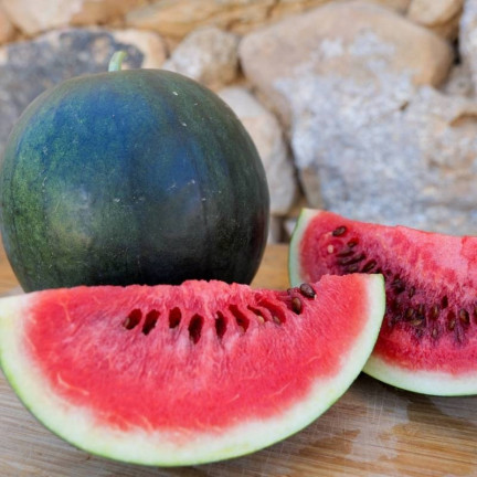 W1001 WASSERMELONE SAMEN ZUCKER BABY CAVON SÜSS SAFTIGES FRUCHTFLEISCH FÜR DEN ANBAU 1G