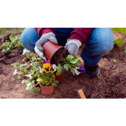 BIO6 UNIVERSAL ERDE 10L FÜR GRÜNPFLANZEN BLUMEN BIOVITA