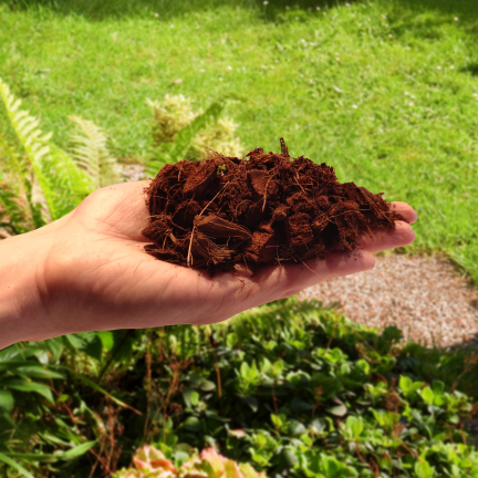 BIO3 BIOVITA COCO CHIPS 5L SUBSTRAT HOLZSCHNITZELFASER FÜR BLUMENPFLANZEN