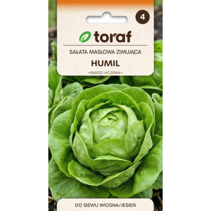 Winterfester Kopfsalat, Sorte „Humil“, Salatsamen, Toraf, 1 g