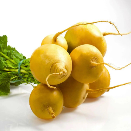 Speiserübe „Goudball“, Rübensamen, gelb, süßliches Fruchtfleisch, Toraf, 10 g