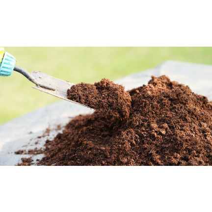 Sauerer Garten-Tofr, Bodenverbesserer, für säureliebende Pflanzen, Heidelbeeren, Azaleen, Biovita 20 l
