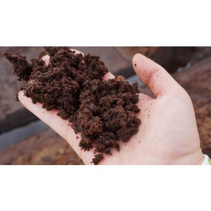 Sauerer Garten-Tofr, Bodenverbesserer, für säureliebende Pflanzen, Heidelbeeren, Azaleen, Biovita 20 l