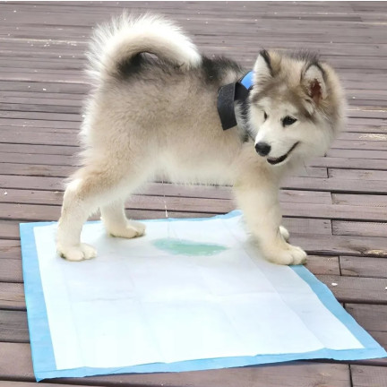 IM029 HYGIENE-MATTEN FÜR HAUSTIERE VON HUNDEN FÜR DAS LERNEN ZU PINKELN SAUBER 50PCS. 45X60