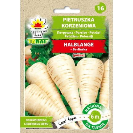 T8005 WURZELPETERSILIE AUF HALBLANGEM SAATBAND 6M PETERSILIENSAMEN