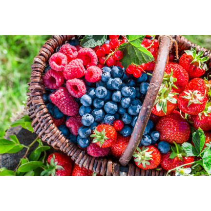 Sumin-Dünger für Erdbeeren, Walderdbeeren, Himbeeren und Brombeeren, optimale Zusammensetzung, 1 kg