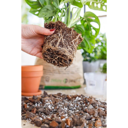BIO26 EARTH BIGOS 8L Lichtsubstrat für Zimmerpflanzen im Topf